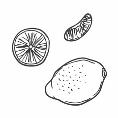 Handdrawn lemon doodle icon illustration for design and web isolated on white background.Lemon vector object for labels, logos and advertising.Hand drawn black and colored sketch. Flat design.