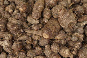 healthy and fresh taro neatly arranged for sale in the market. healthy and fresh vegetable background