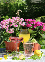 Mango, strawberry cocktails and rose lemonade on a garden table. Summer cocktails close up photo. Refreshing drinks in different glasses. 