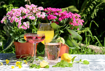 Refreshing summer cocktails on a garden table. Close up photo of glasses with various drinks. Party in a garden. 