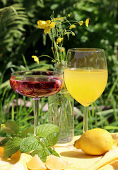 Limoncello cocktail in a glass. Close up  photo of summer drink on a table. Garden party cocktails....