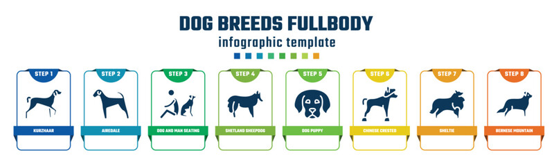 dog breeds fullbody concept infographic design template. included kurzhaar, airedale, dog and man seating, shetland sheepdog, dog puppy, chinese crested, sheltie, bernese mountain icons and 8