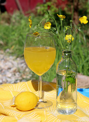 Limoncello cocktail in a glass. Close up  photo of summer drink on a table. Garden party cocktails.  