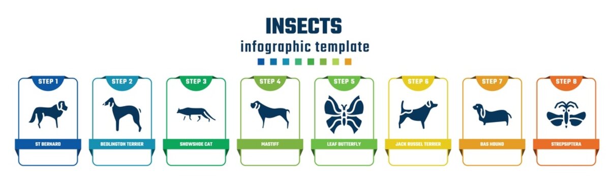 insects concept infographic design template. included st bernard, bedlington terrier, snowshoe cat, mastiff, leaf butterfly, jack russel terrier, bas hound, strepsiptera icons and 8 options or