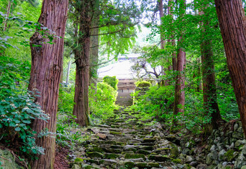 蓮台寺 参道