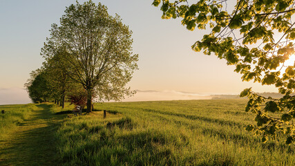Morgendliche Stimmung im Luftkurort Gohrisch der Sächsische Schweiz