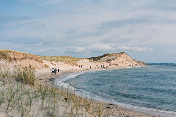 dune landscape at the west beach in List a t the island of Sylt in Germany with north sea view at...