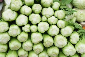 healthy and fresh pakcoy vegetables neatly arranged for sale in the market. healthy and fresh vegetable background
