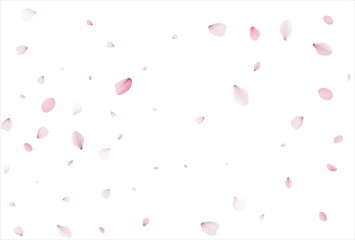 Sakura petals background. Cherry petals backdrop