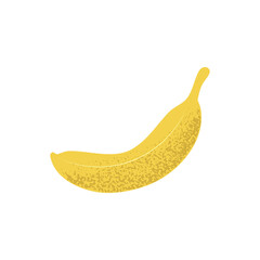 Hand drawn one banana in flat style with grainy texture, isolated on white vector illustration