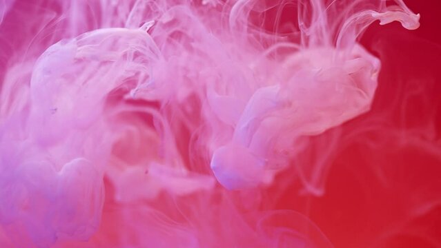 Abstract colorful smoke with lavender and pink colors. Liquid background video with splashes and slow motion. Artwork with splash inks. Pastel paint on red backdrop.