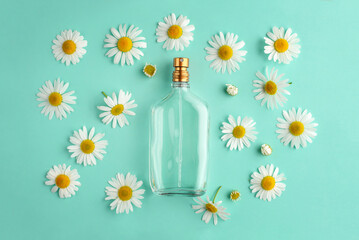 Glass bottle of perfume chamomile flowers on a green blue background