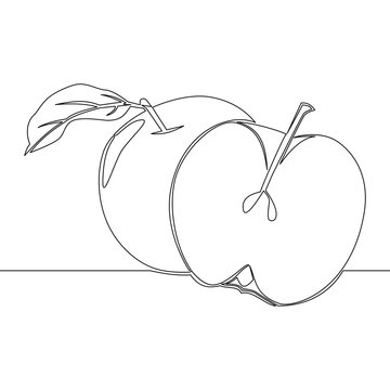 Continuous line drawing sliced and whole healthy apples icon vector illustration concept