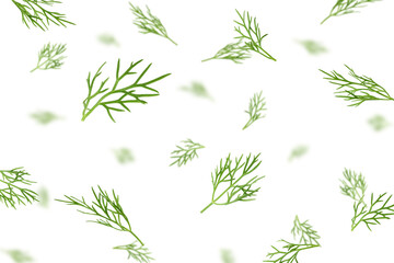 Falling Dill isolated on white background, selective focus