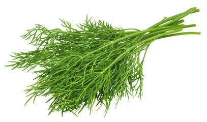 Dill isolated on white background, full depth of field, clipping path