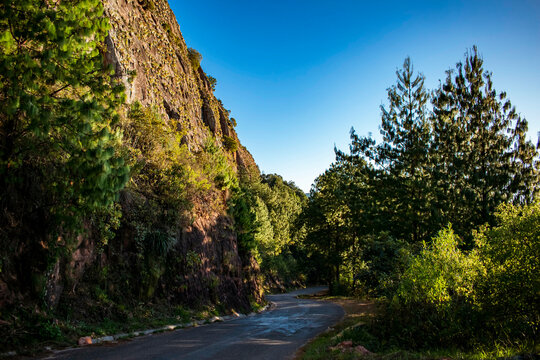 Camino sinuoso a Samaipata, en medio de paisaje de Pinos