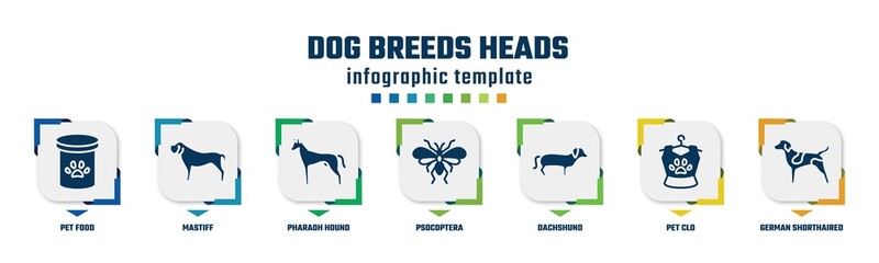 dog breeds heads concept infographic design template. included pet food, mastiff, pharaoh hound, psocoptera, dachshund, pet clo, german shorthaired pointer icons and 7 option or steps.