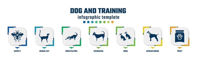 dog and training concept infographic design template. included sawfly, bengal cat, dogs playing, chihuahua, dogs, afghan hound, treat icons and 7 option or steps.