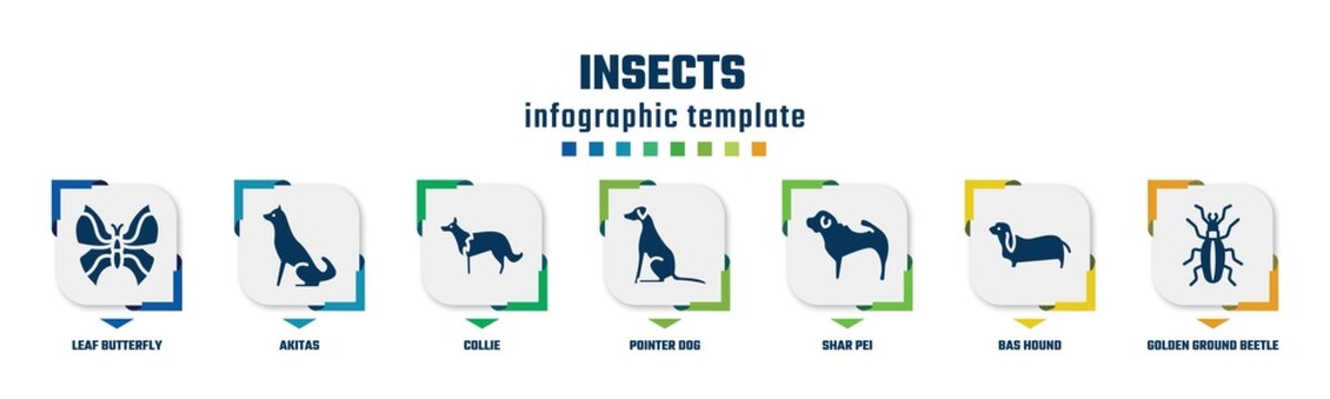 insects concept infographic design template. included leaf butterfly, akitas, collie, pointer dog, shar pei, bas hound, golden ground beetle icons and 7 option or steps.