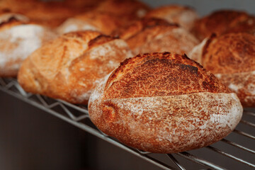 pile of freshly baked wheat bread