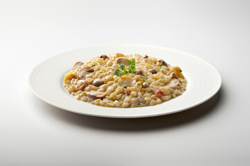 White plate of risotto with mixed mushrooms and parsley