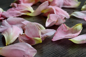 Fototapeta na wymiar Pink rose petals on wooden table.