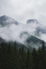 Mountain peaks and forests in clouds and fog. Tatras, Poland.