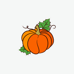 Pumpkin. Vegetable. Colored sticker in sketch style. Vector