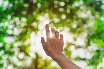 Young woman hand reaching for the sunrise above the trees in the morning