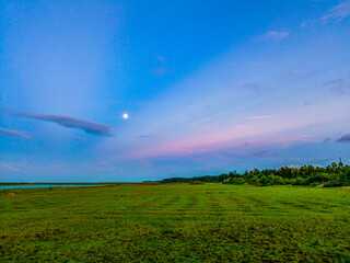 field and sky