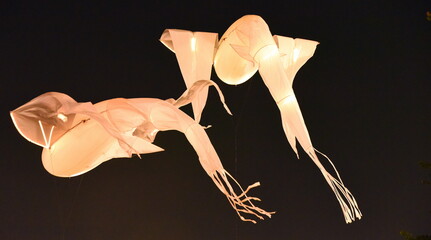 Zwei am nachtschwarzen Himmel fliegende, leuchtende Drachen