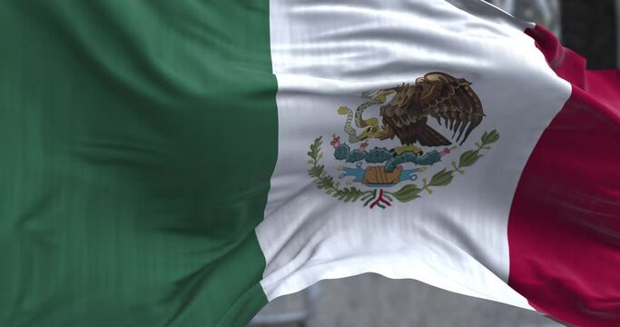 Mexico Waving Flag Background Looping