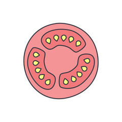 Sliced Tomato icon in color, isolated on white background 