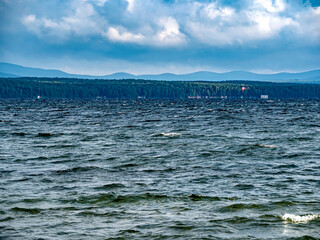 gull flies over the lake in the morning