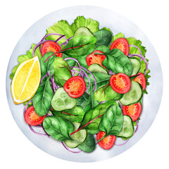 Fresh salad mix with cherry tomatoes and cucumbers 2