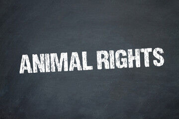 Obraz premium Animal Rights