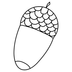 acorn line art 