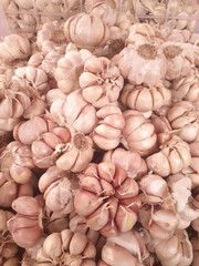 Garlic is one of the root vegetables.