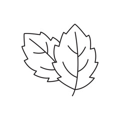 menthol leaf icon in line style icon, isolated on white background