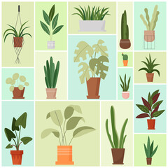 Fototapeta na wymiar House plants in pots set vector illustration. Cartoon green foliage, growing fresh houseplants in flowerpots and planters for indoor garden, modern interior decor in geometric collage background