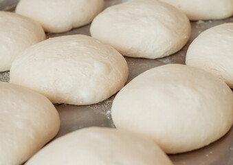Fototapeta na wymiar shaped bread raw dough before baking on the table in bakery