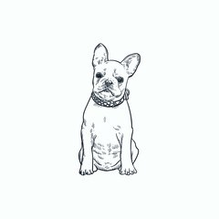 Vintage hand drawn sketch look up french bulldog