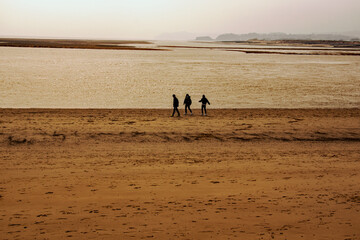 Fototapeta na wymiar A group of three unknown walkers taking a walk on the beach in winter