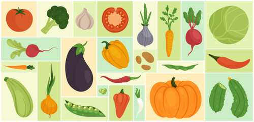 Vegetable set vector illustration. Cartoon fresh farm food ingredients for cooking, whole and half tomato cabbage daikon zucchini onion cucumber garlic pumpkin beet in geometric collage background