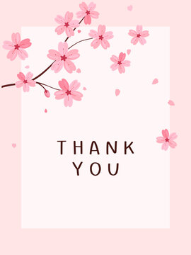 Cherry blossom with flying petals and hand writing font "Thank you" on pink background vector illustration. Sakura Japanese flower.