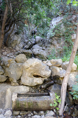 waterfall in the forest