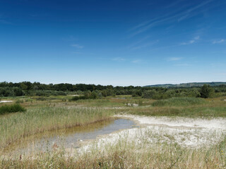 Petite Camargue Alsacienne. Idyllisches Naturschutzgebiet. Spitze der Rheininsel. Rundgang vom...