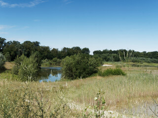 Petite Camargue Alsacienne. Idyllisches Naturschutzgebiet. Spitze der Rheininsel. Rundgang vom...