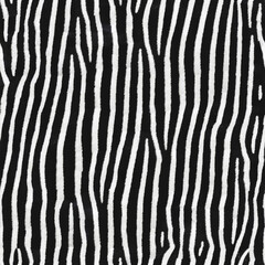 Fototapeta na wymiar Zebra Seamless Animal Skin and Fur Textures, Closeup Natural Beautiful Leather Surface for Material Design, Textile Pattern, Abstract Exotic Wallpaper