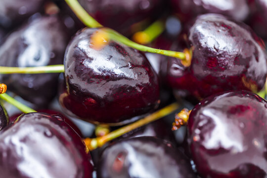 Grosses cerises noires